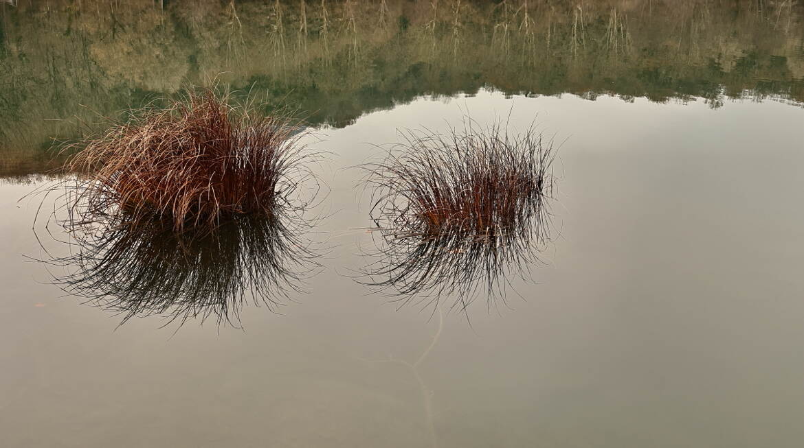 Minimalisme, reflet, température de couleur