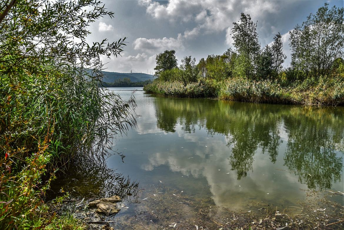 Le lac d'Amay.