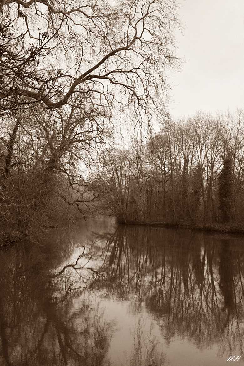 Un matin, sur les bords du Loiret