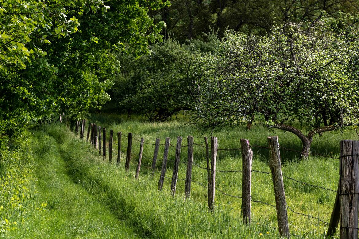 Ballade en Seine et Marne.
