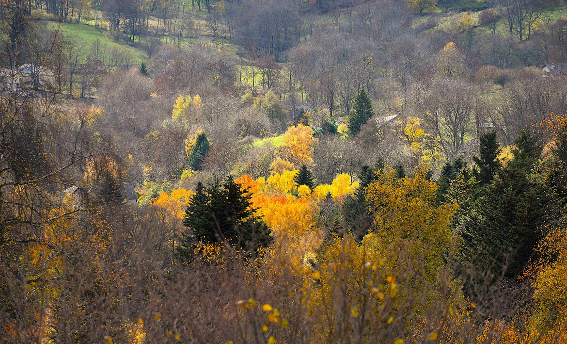 Eclat et couleurs de la nature