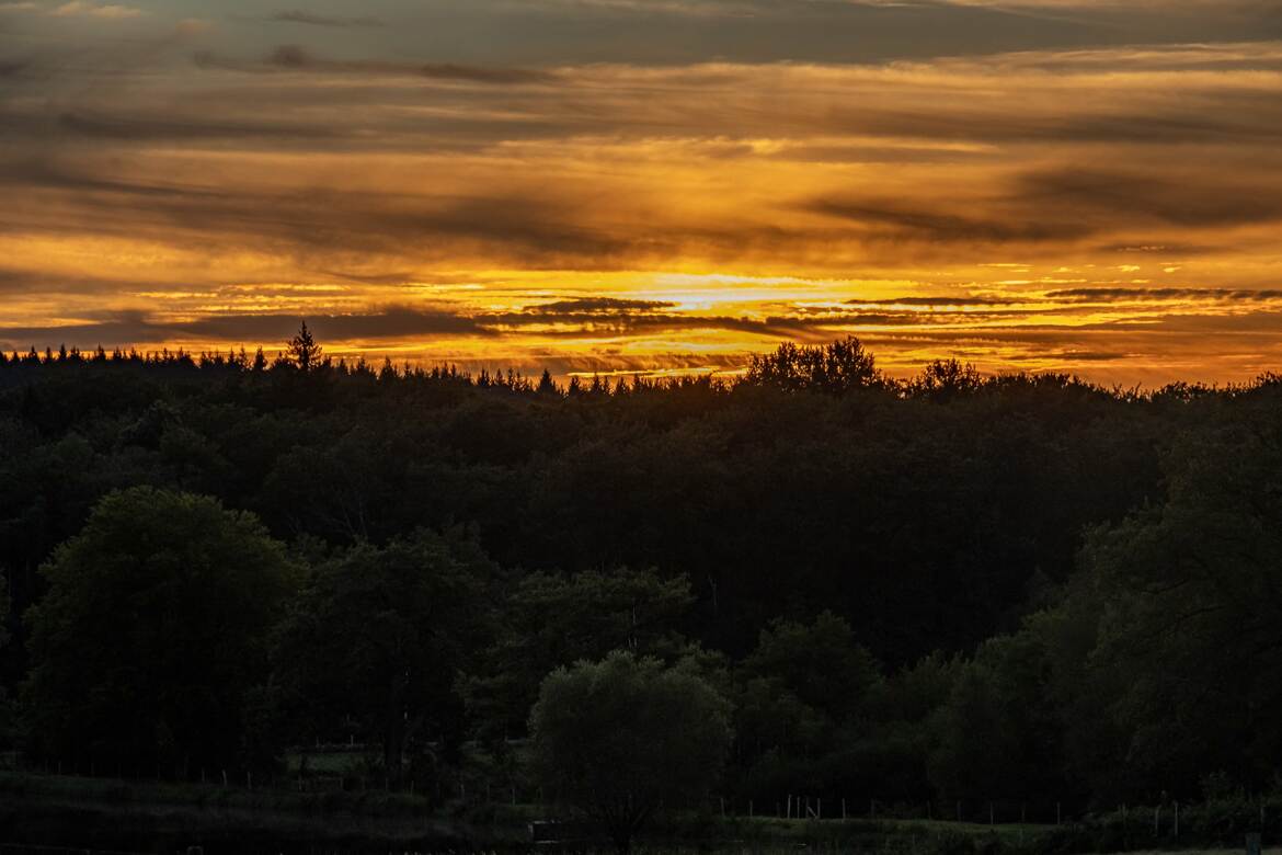 Le crépuscule des dragons ?