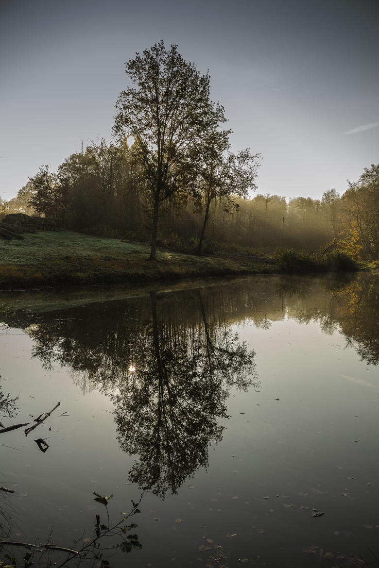 Reflet du matin