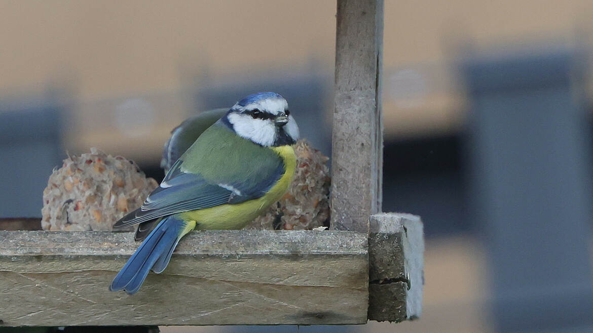 la pose est bonne, comme ça ?