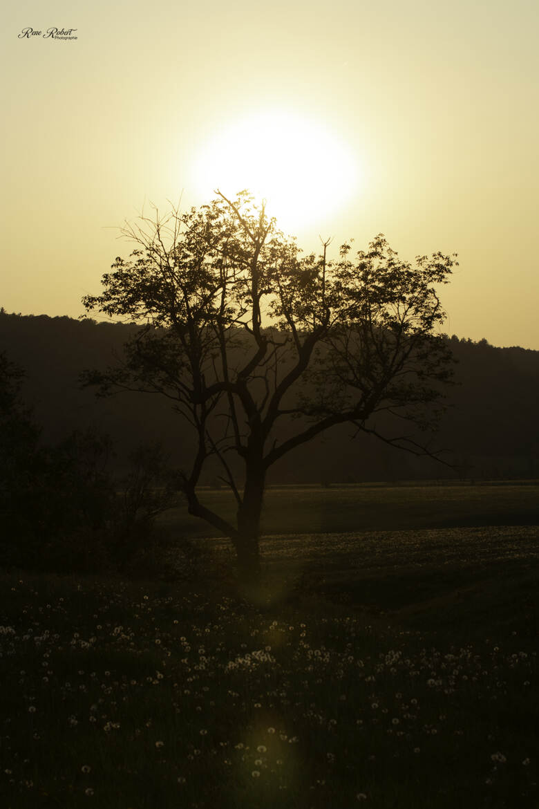 coucher soleil avec fumée