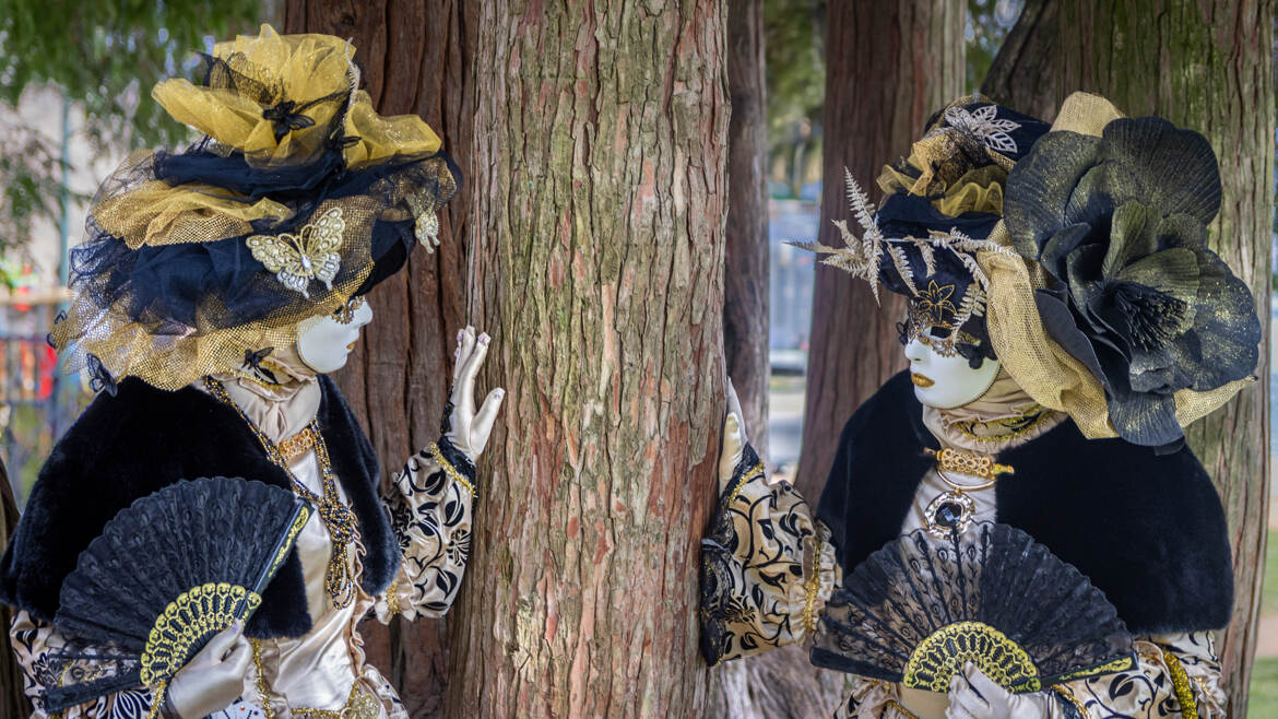 Carnaval vénitien d'Annecy - 8