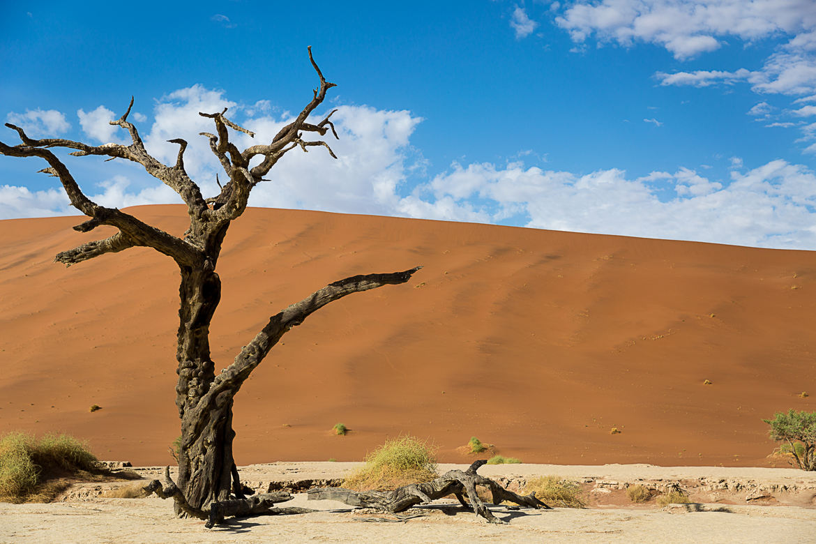 Désert du Namib