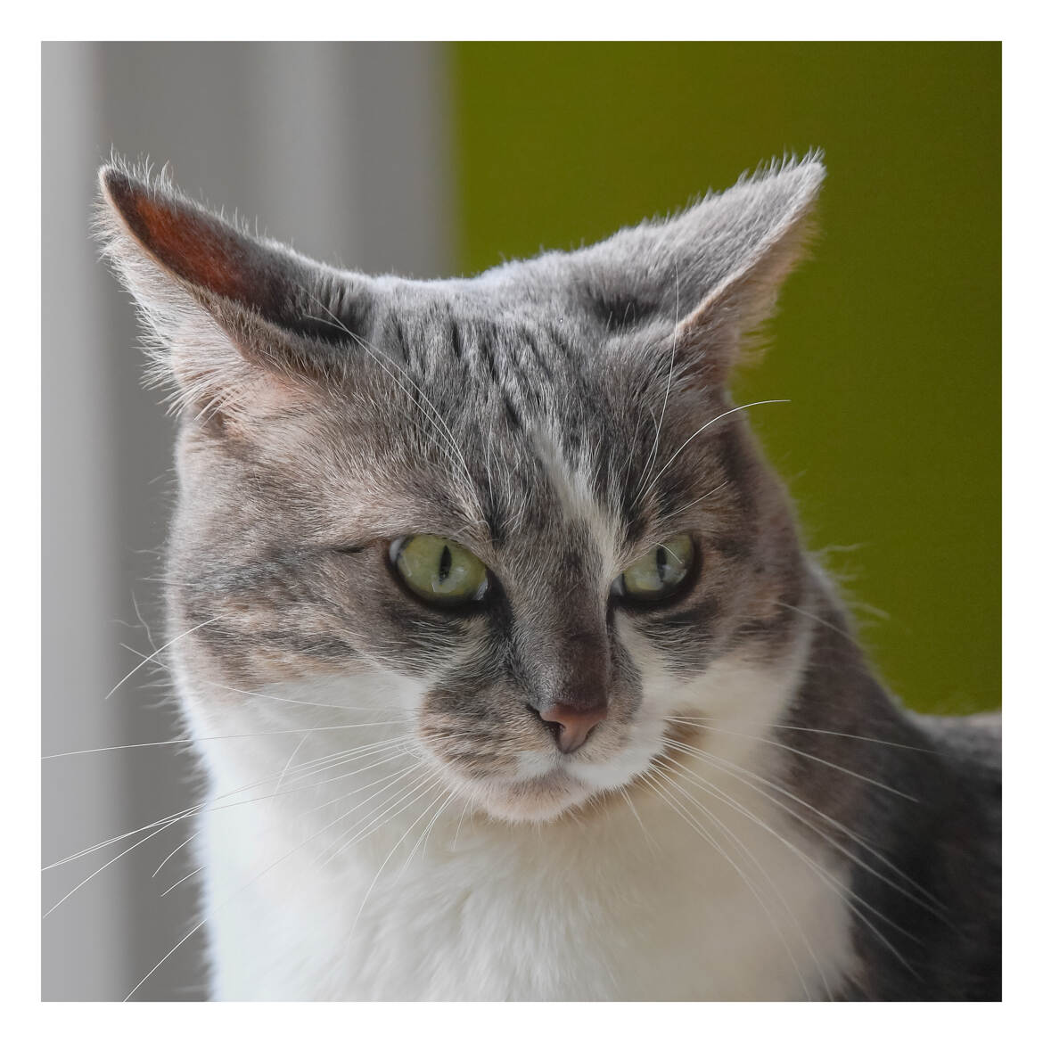 Une petite pose pour le photographe !