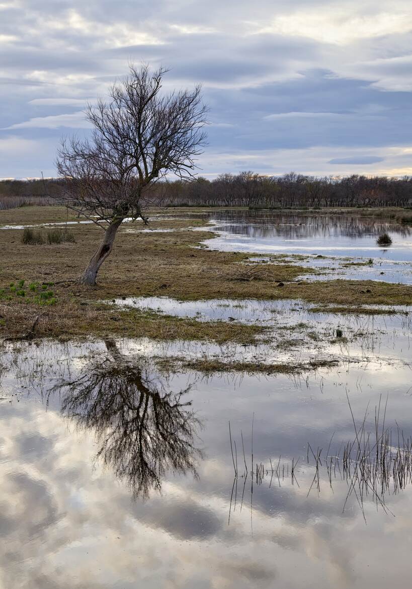 Se pencher vers le miroir ...