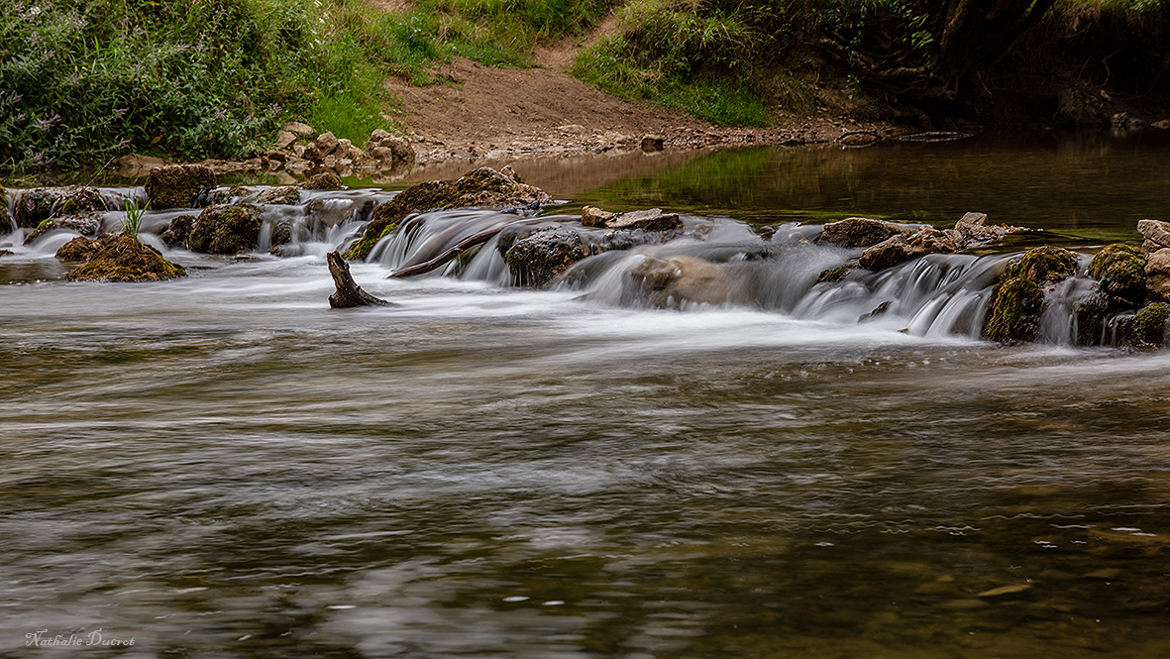 petit ruisseau deviendra grand