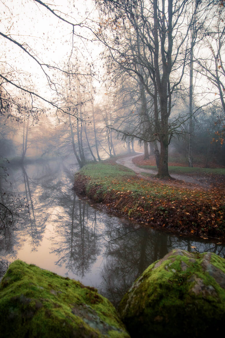 Invitation à une balade matinale