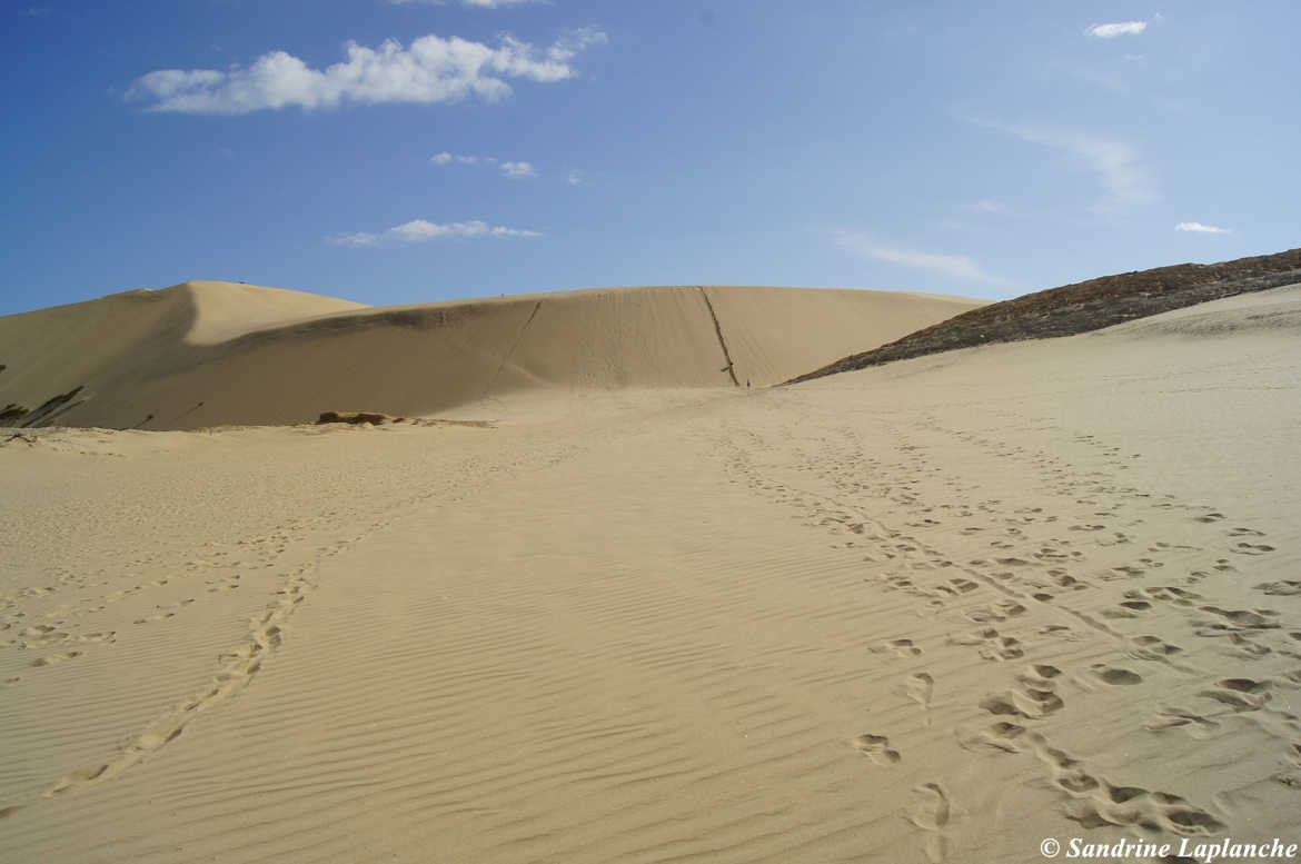 A l'assaut des dunes