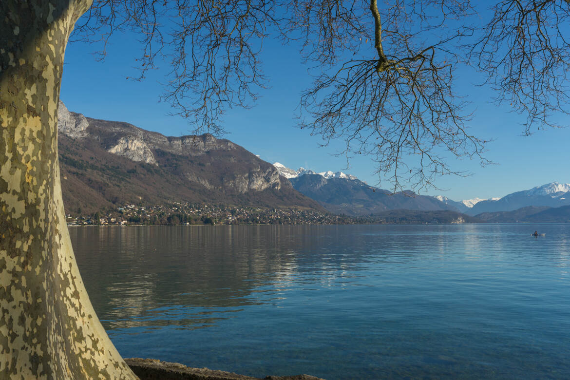 Avant les premières feuilles