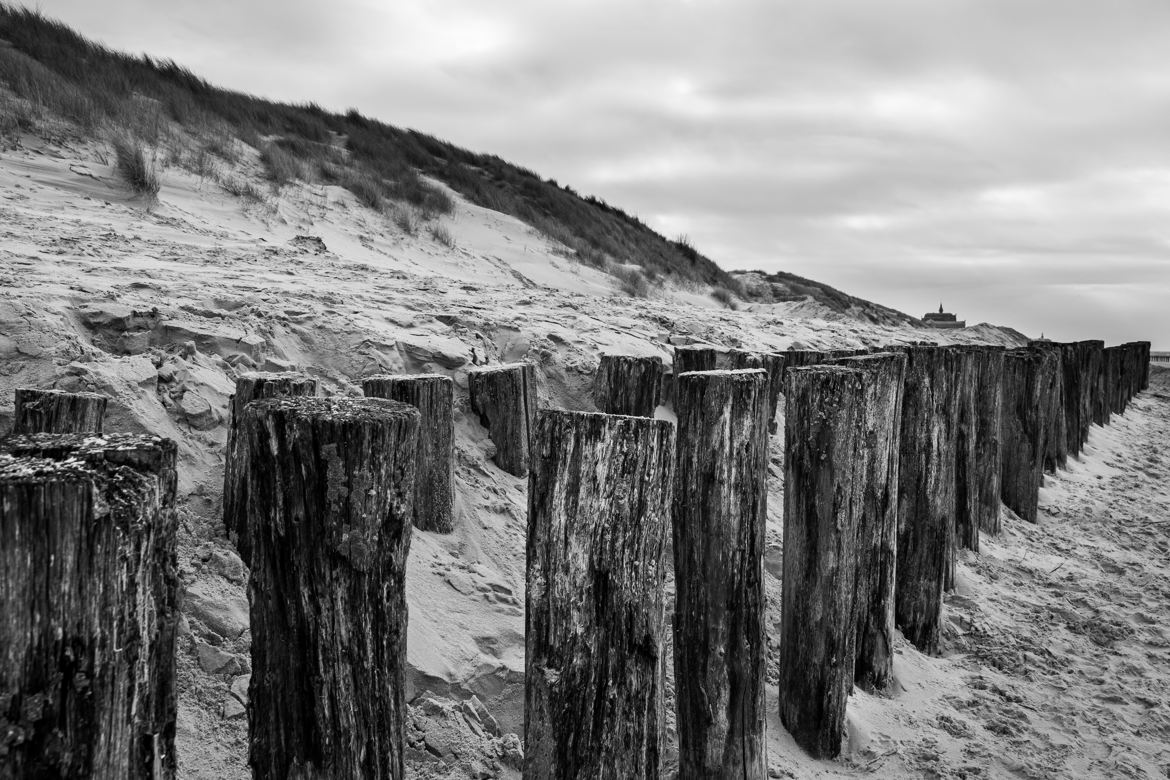 tenir la dune