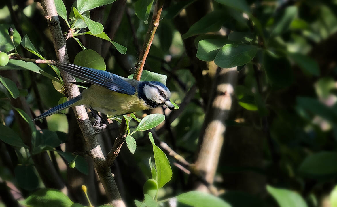 Ejection-Déjection (2)