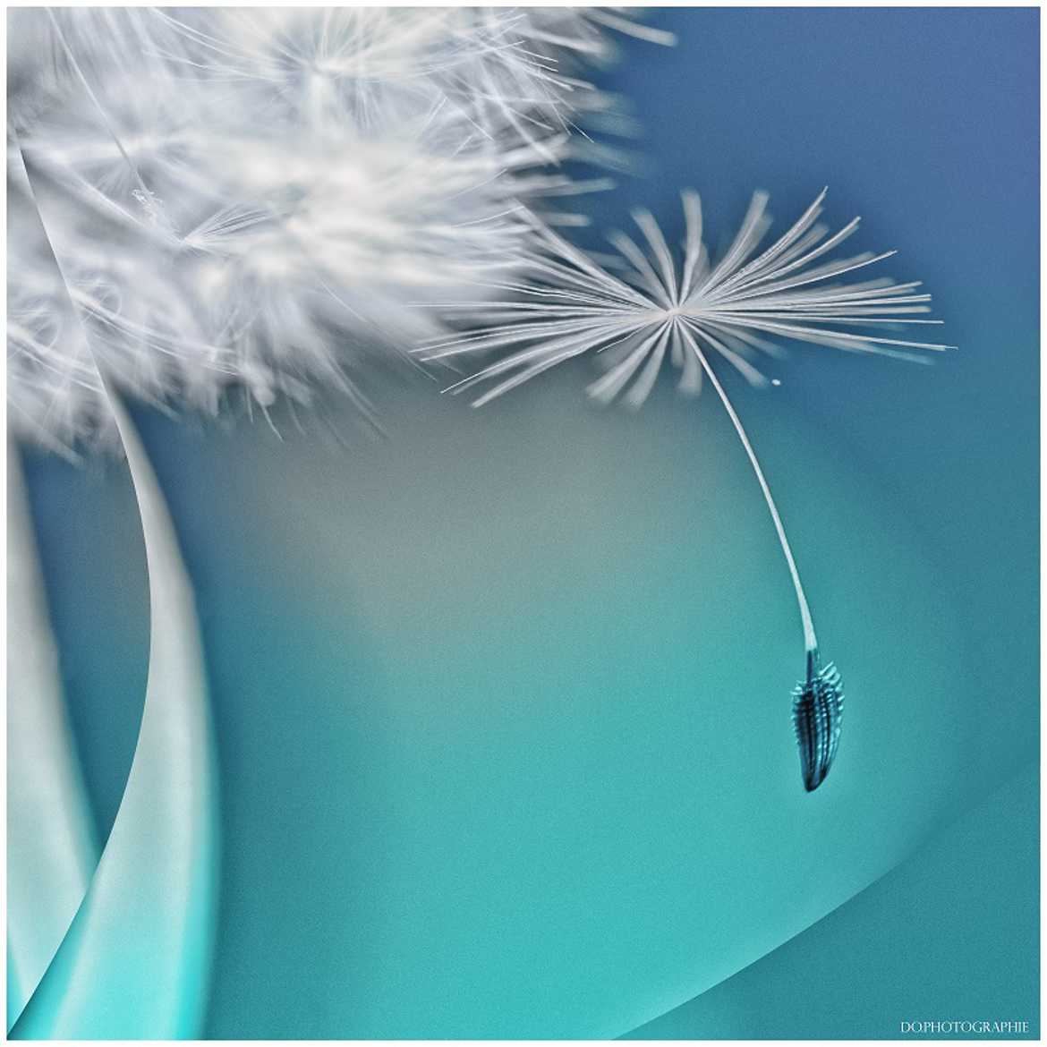 Juste une dernière danse