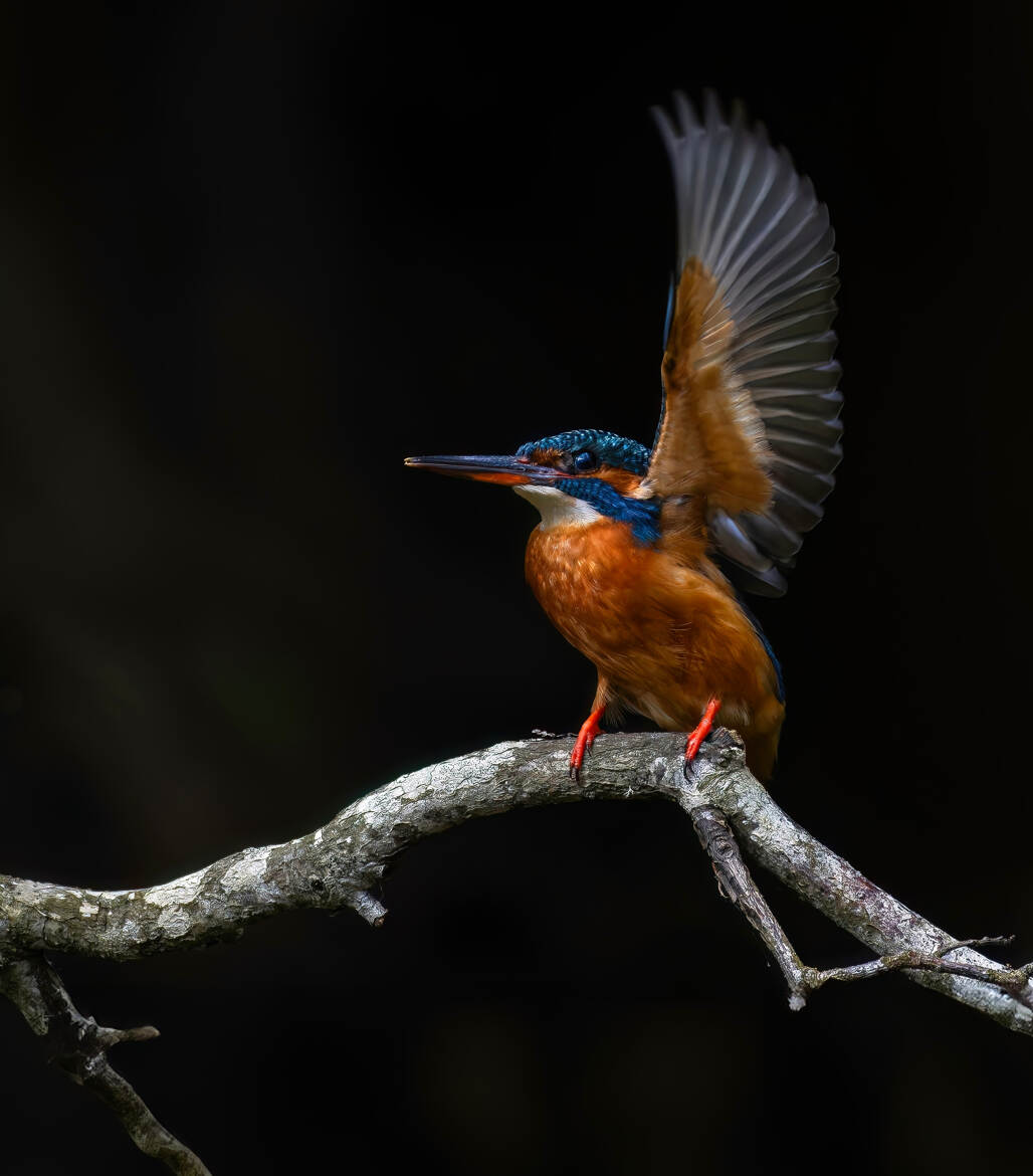 Beauté de la nature 2