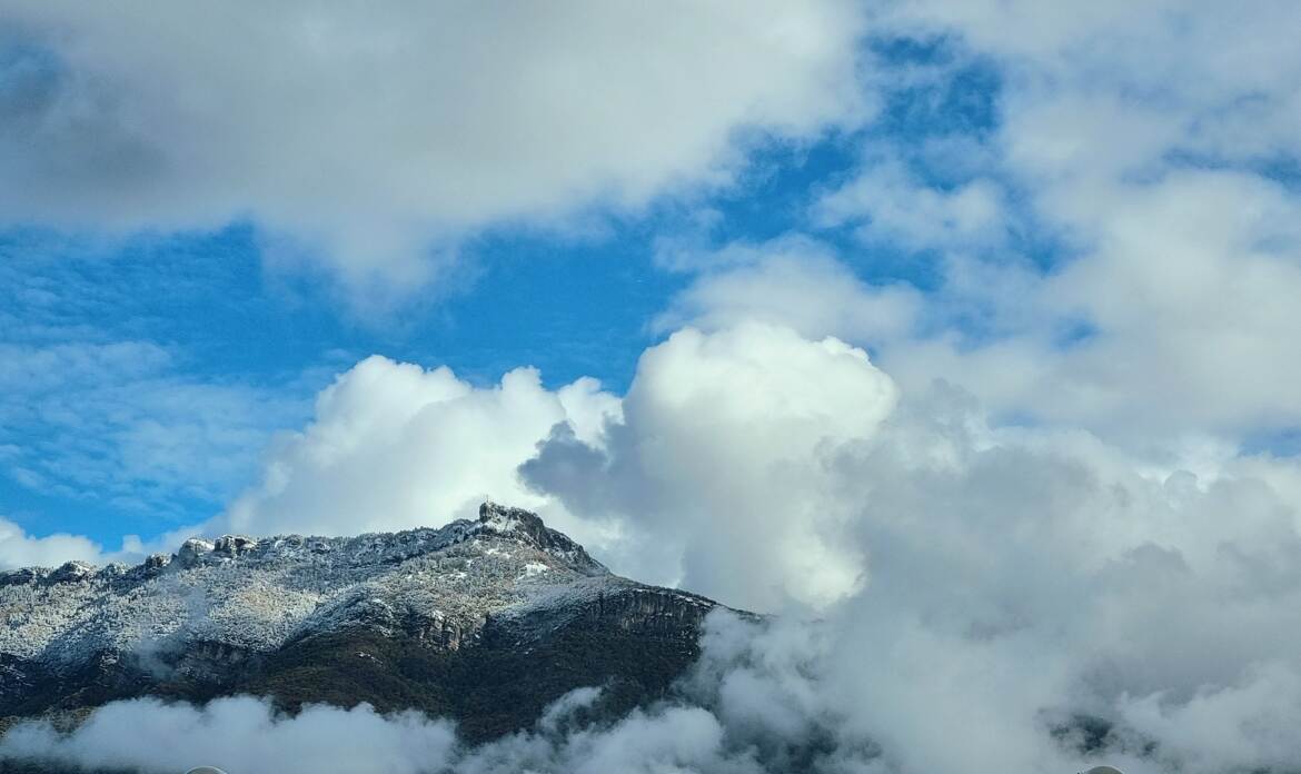 Première neige