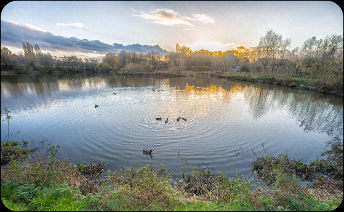 Photo d'un lac bruxellois