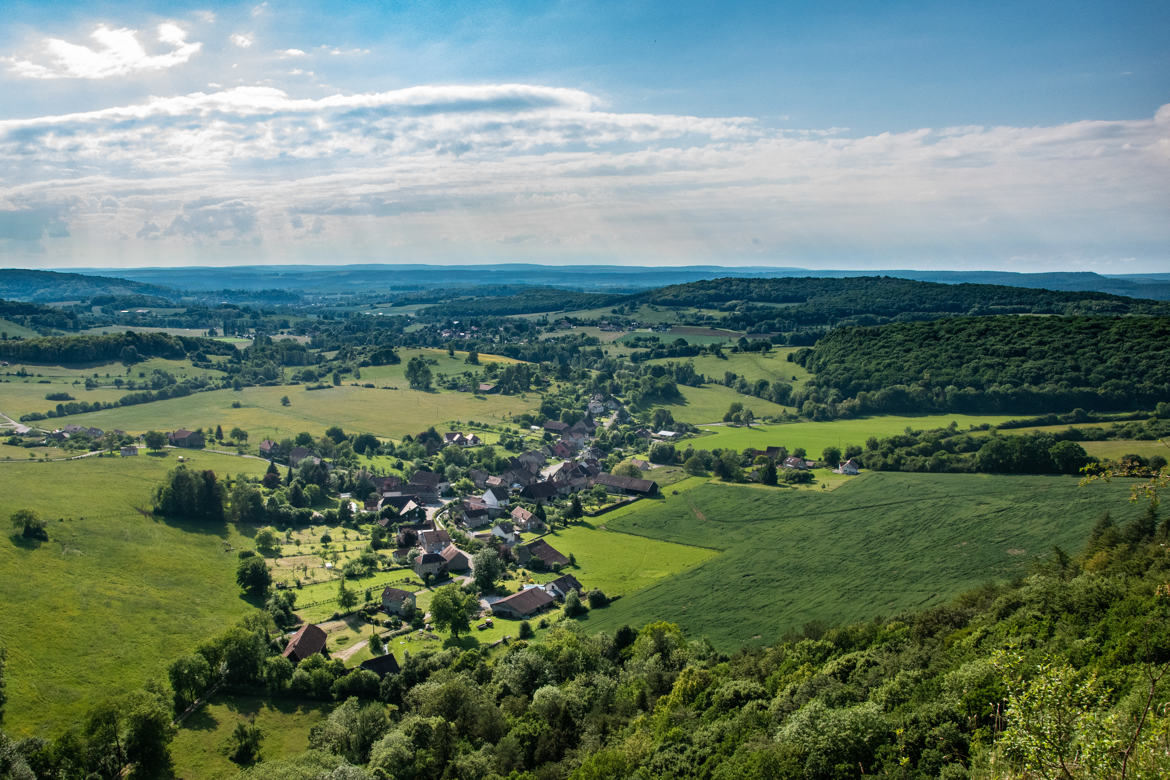 Habillé de vert