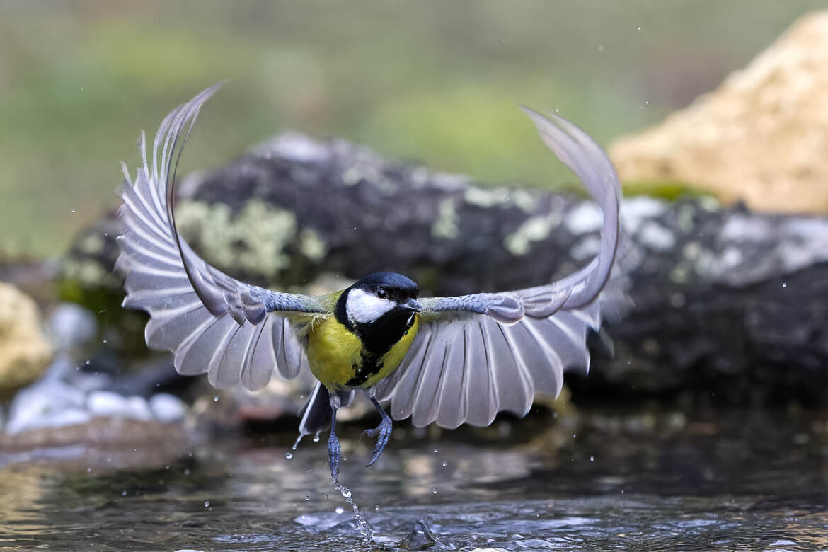 Ooouups... elle est froide