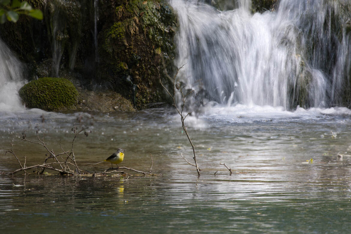 Au pied de la chute