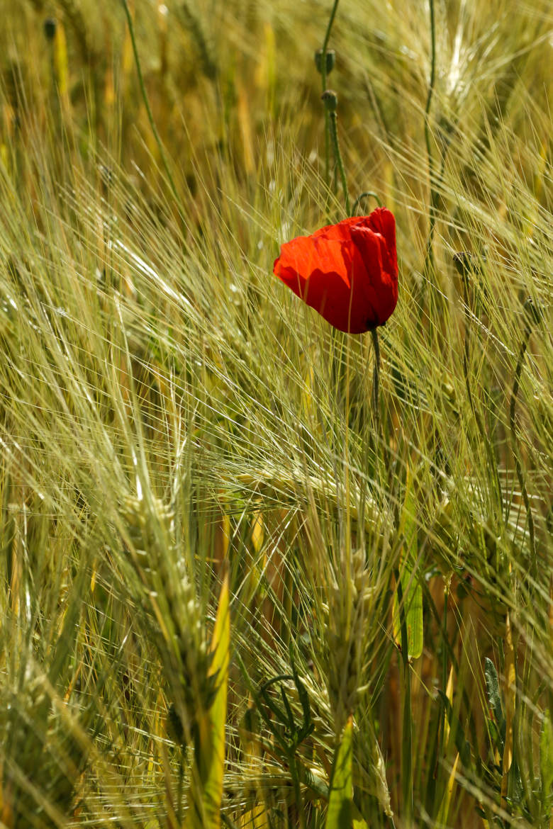 Par temps venteux