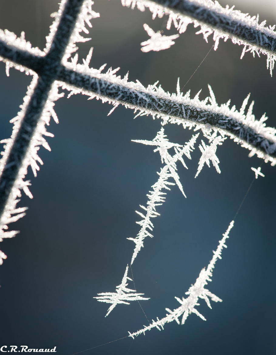 Givre