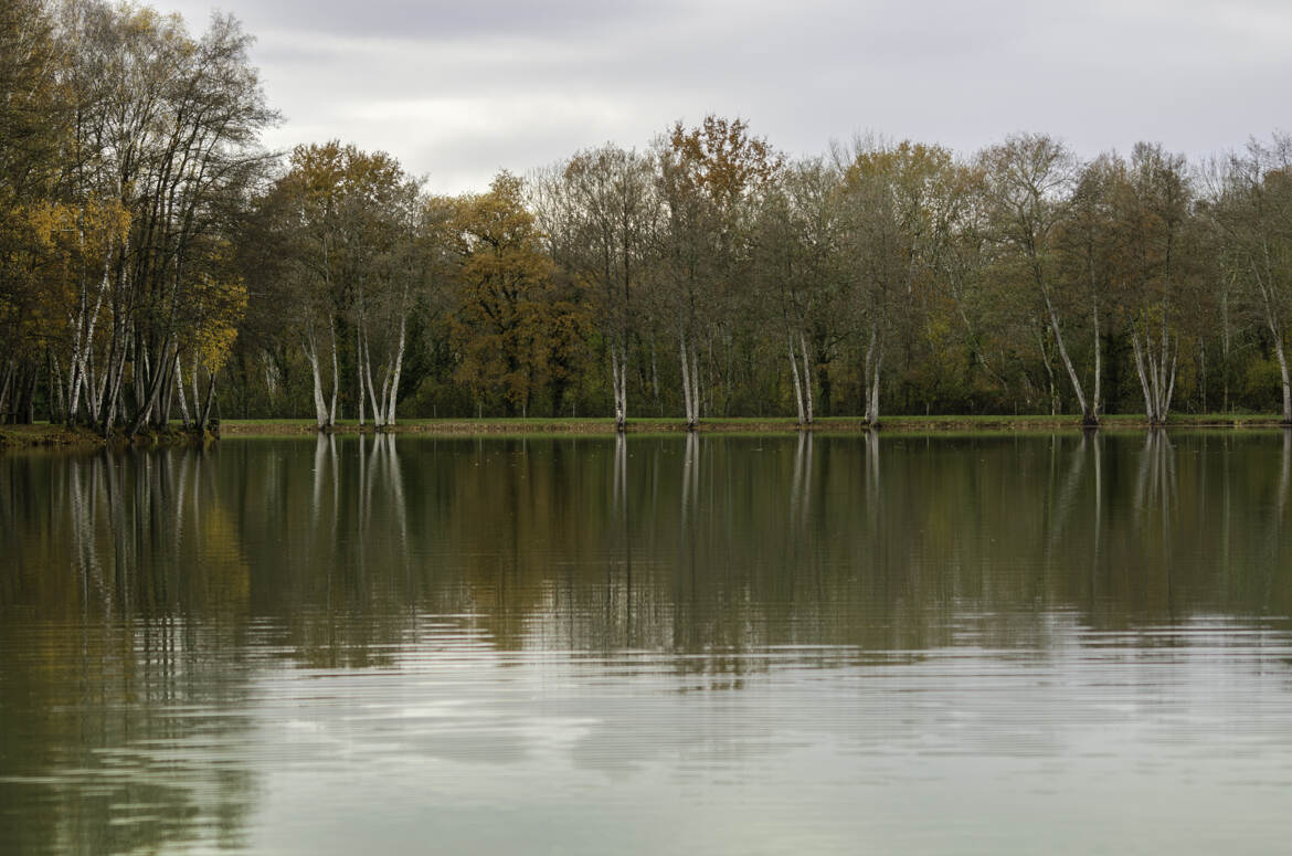 La séeénité