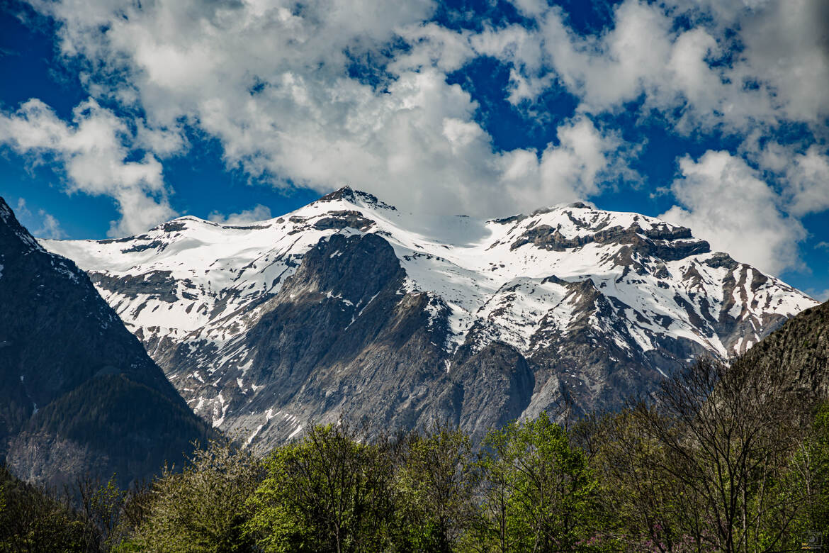 Printemps à la montagne