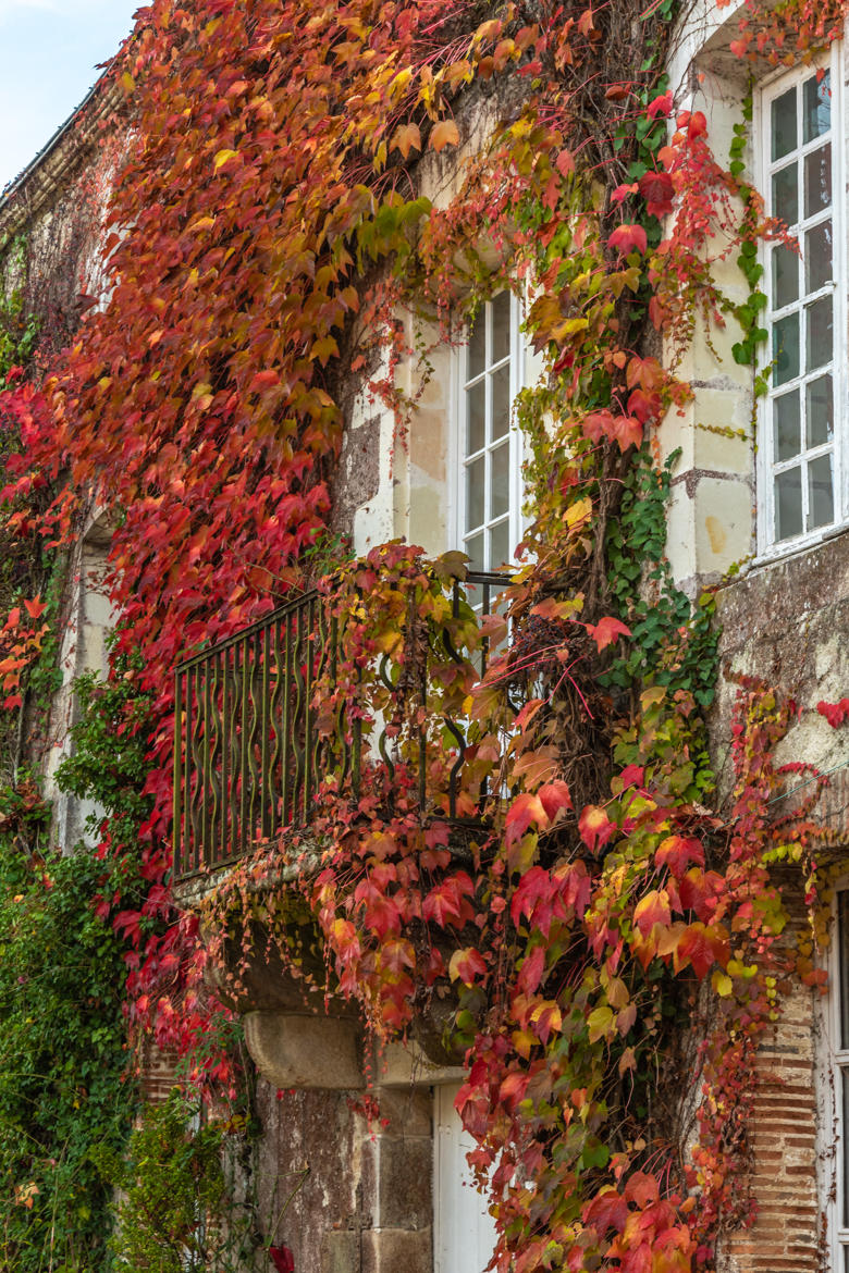 Noel au balcon.......