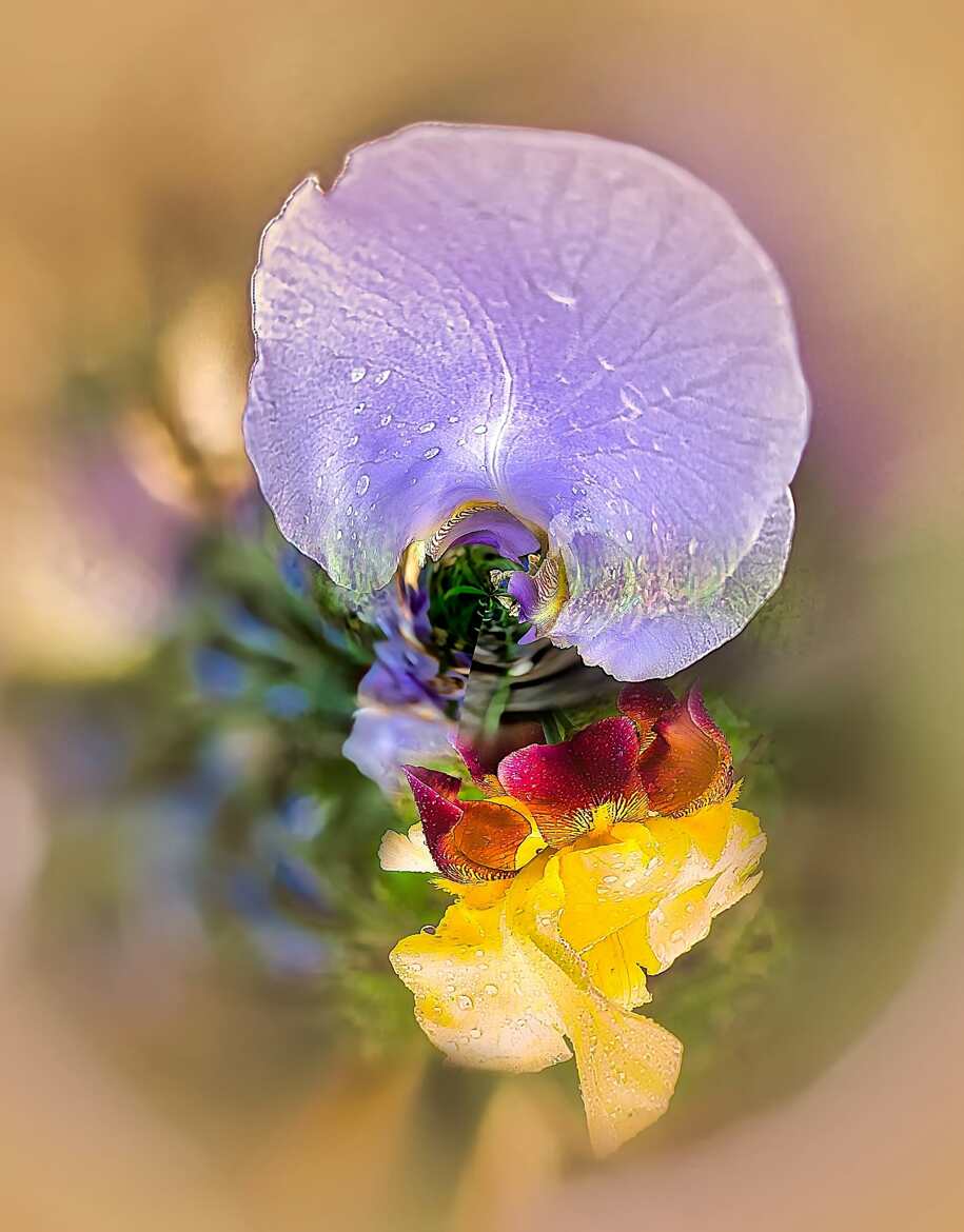 Tourbillon florale !