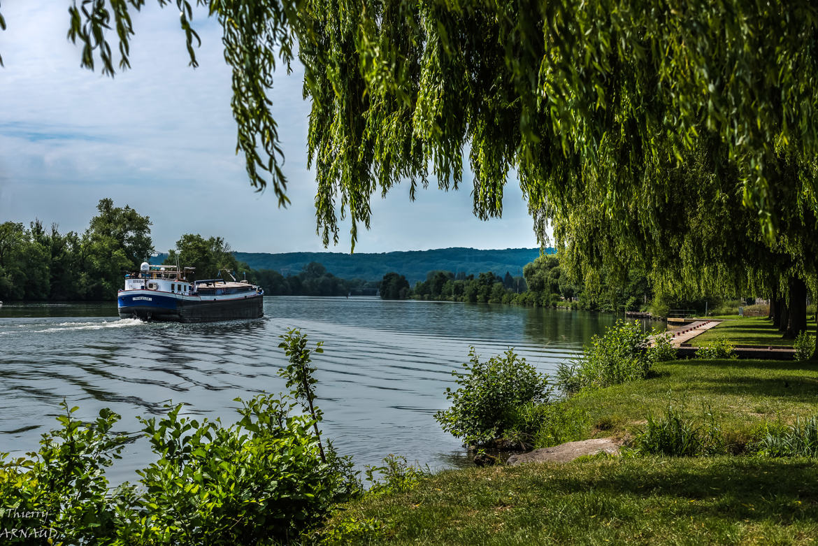 Les saules pleurent et la péniche passe