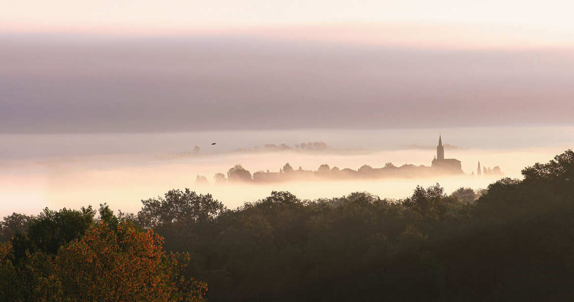 Au milieu du brouillard