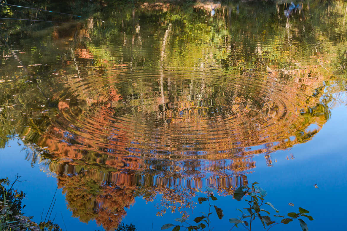 AUTOMNE REFLETS CREATIFS