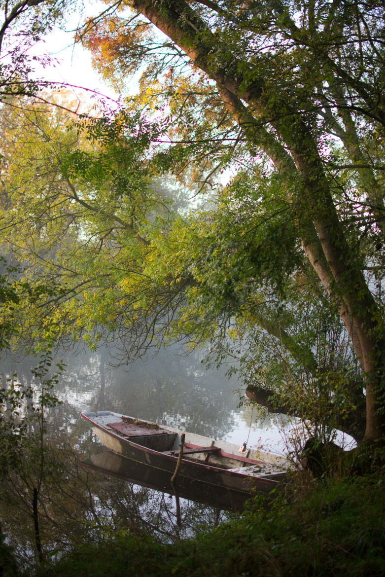 Barque en automne