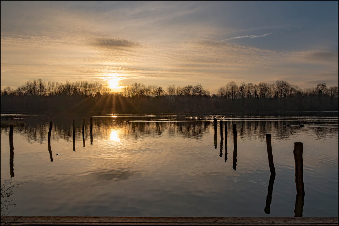 Reflets sur l'étang