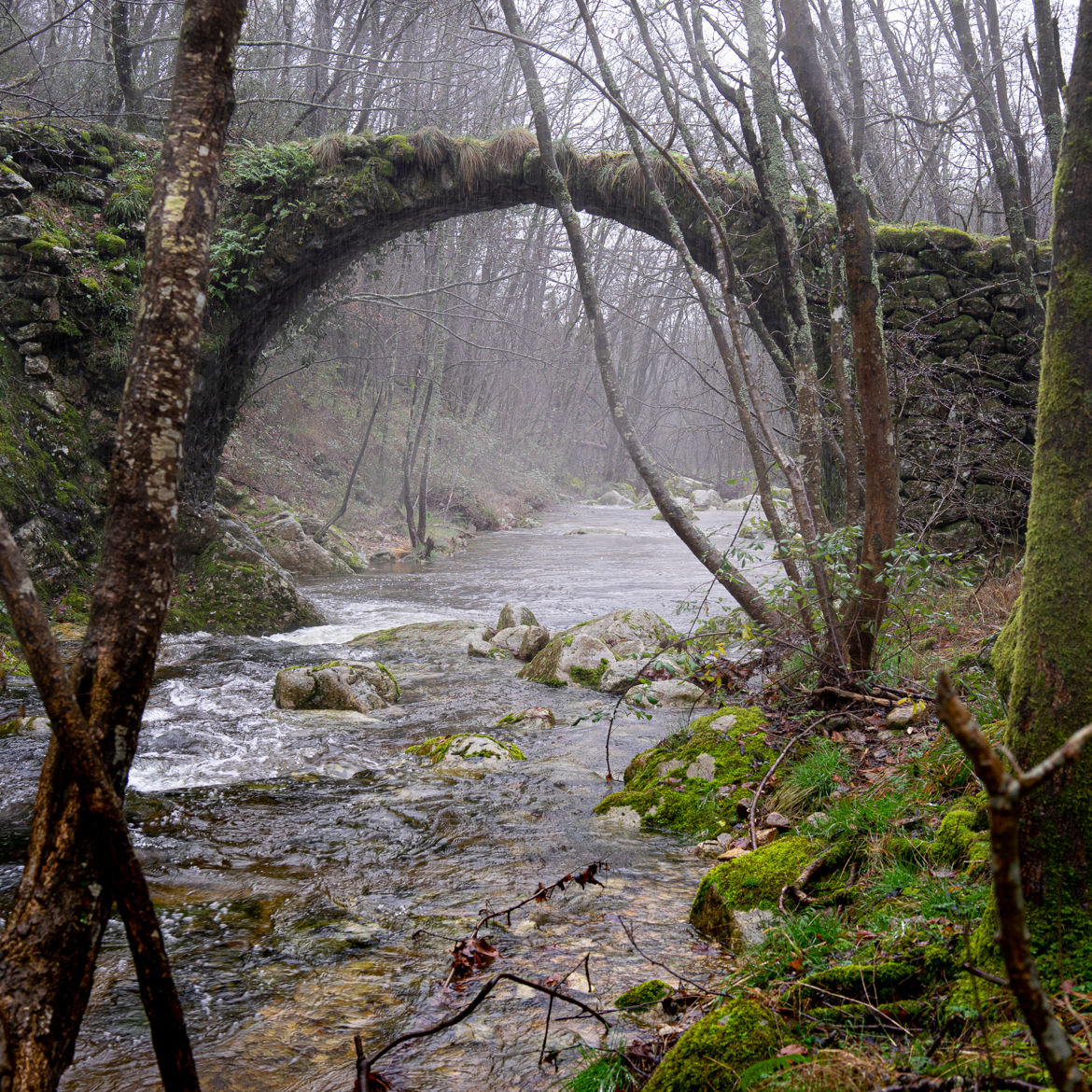 Petit pont perdu en hiver