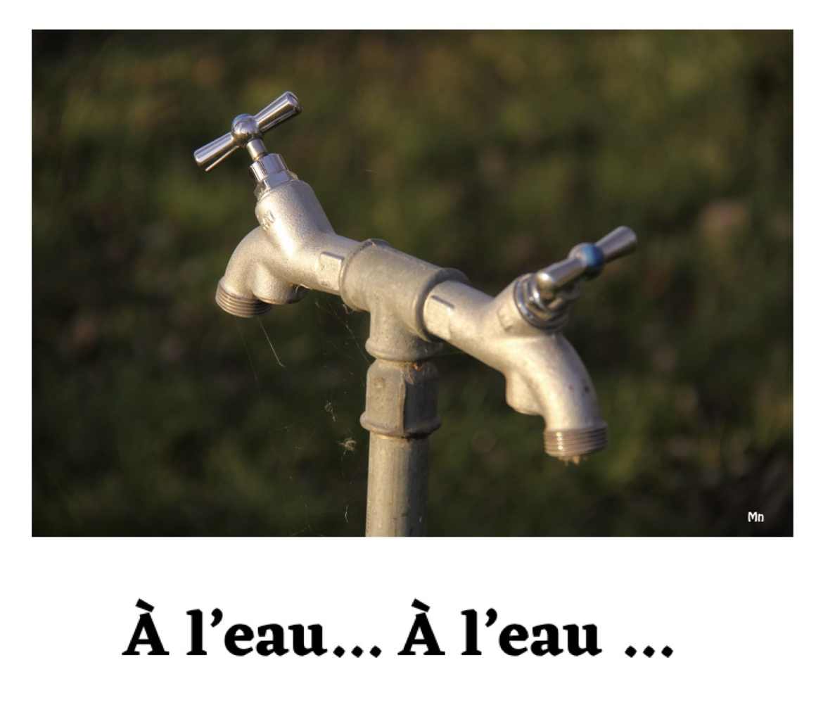 A.l'eau...A l'eau ...