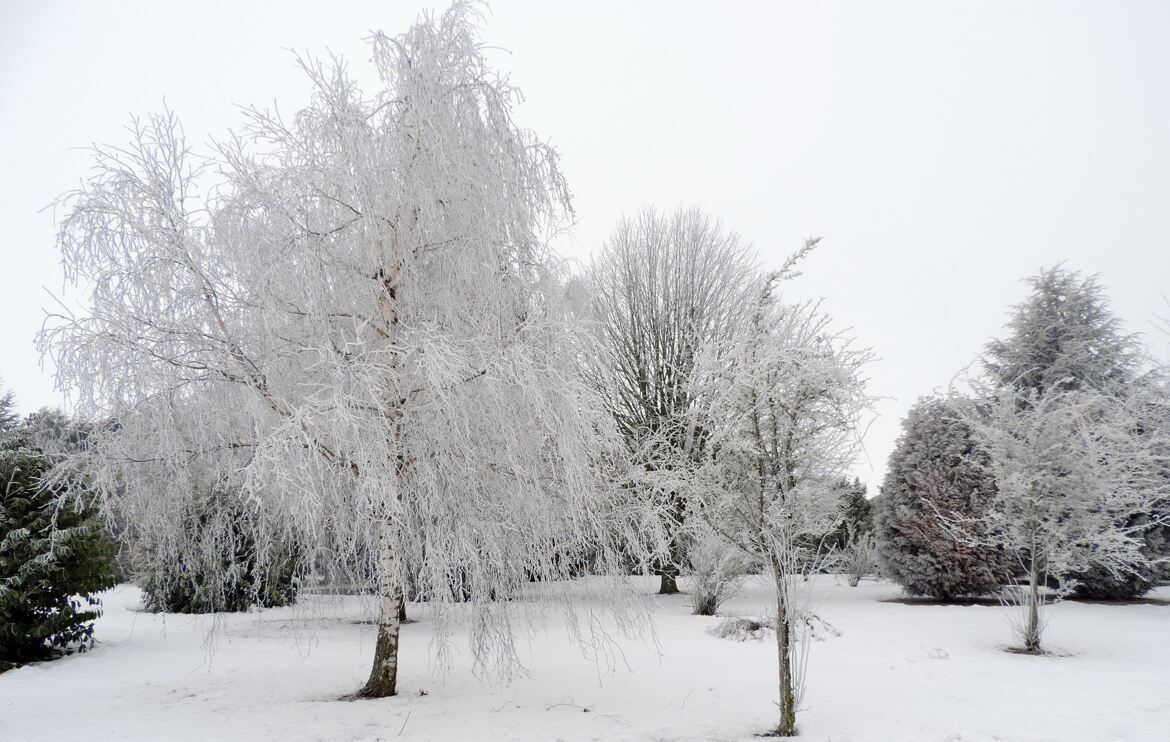 manteau blanc