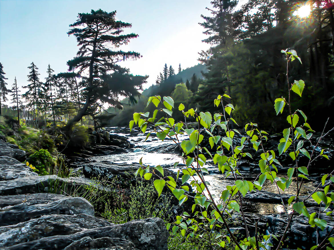 Le beau murmure de l'eau