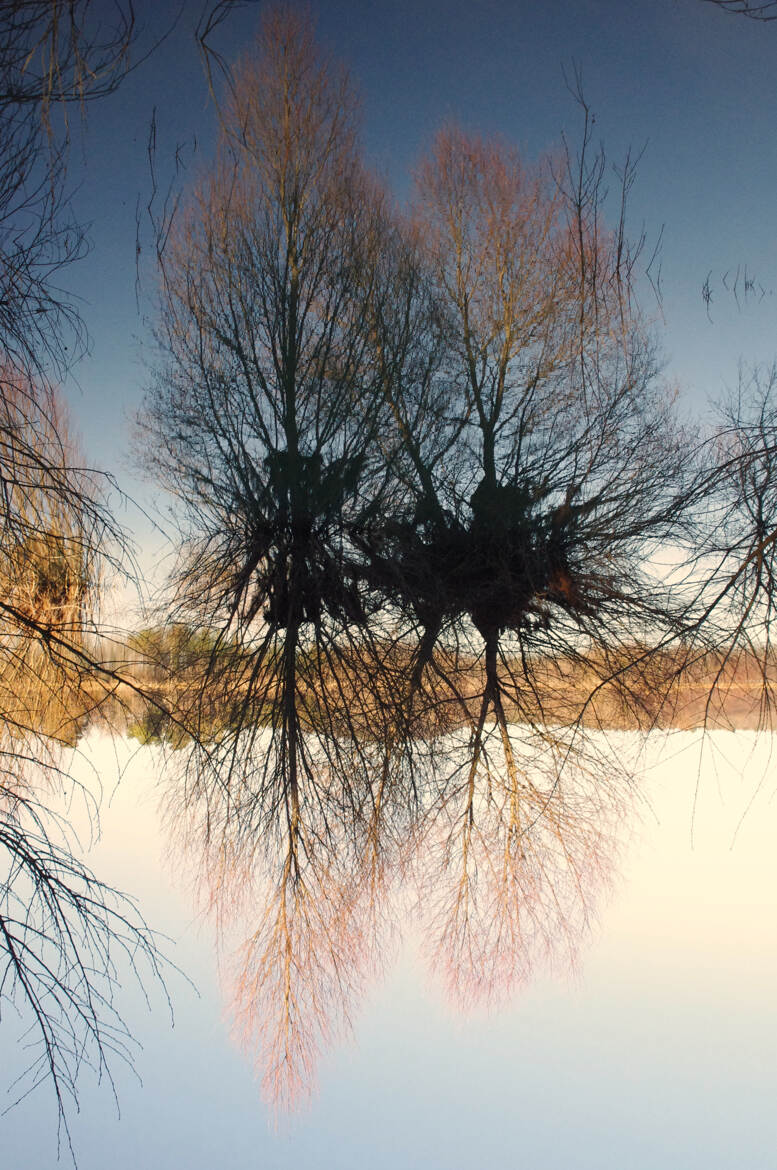 Réflexion