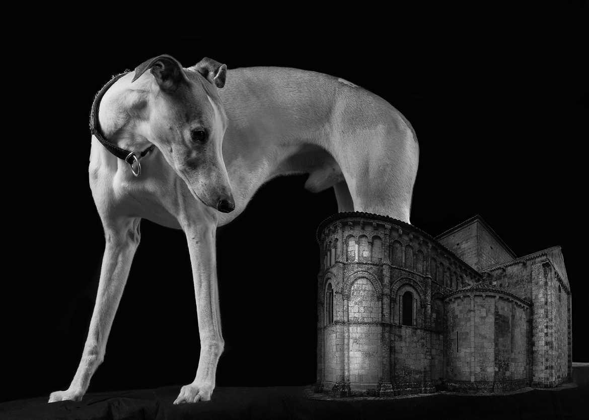 Concours Photo - Post Production 1 - Le chien à la maquette. par CATWHIPAZA