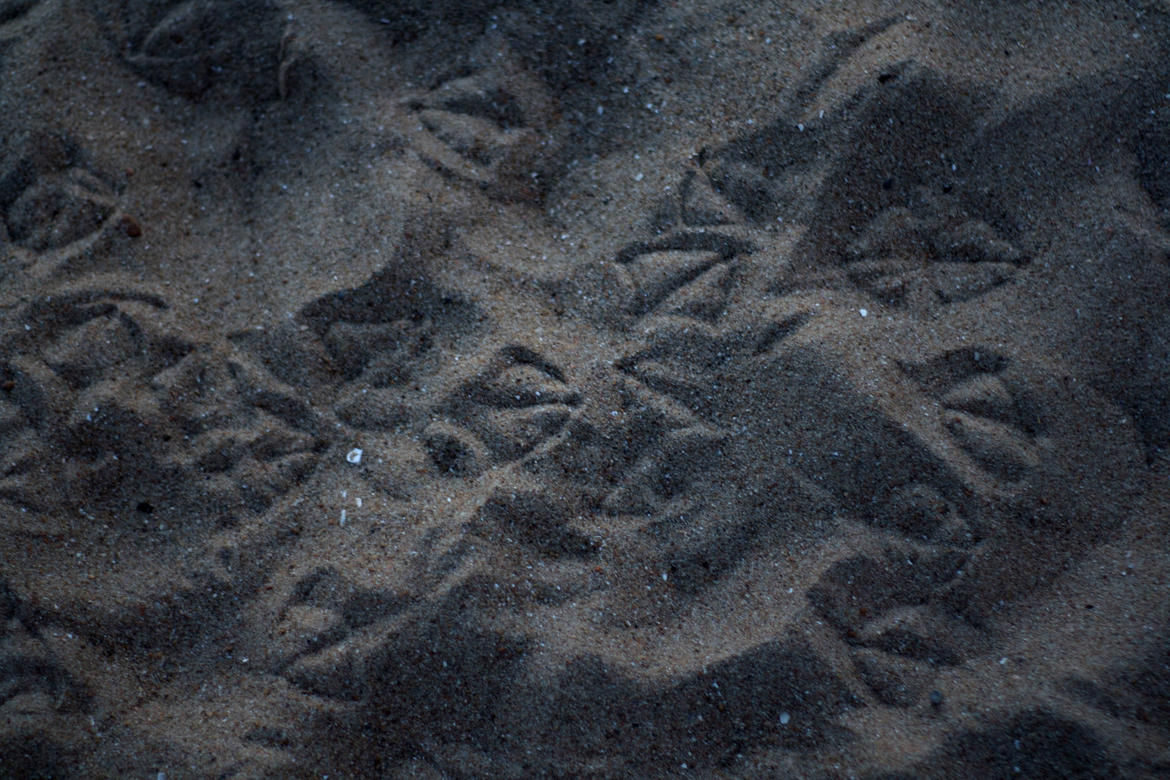 foule sur la plage