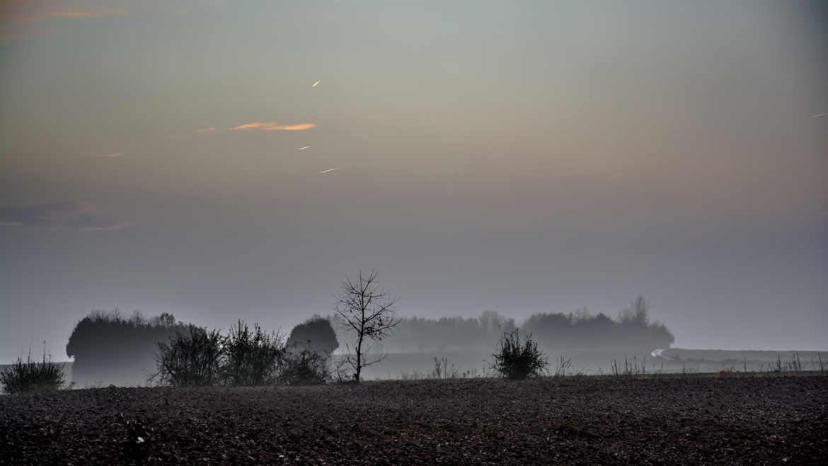 Ma campagne sous la brume