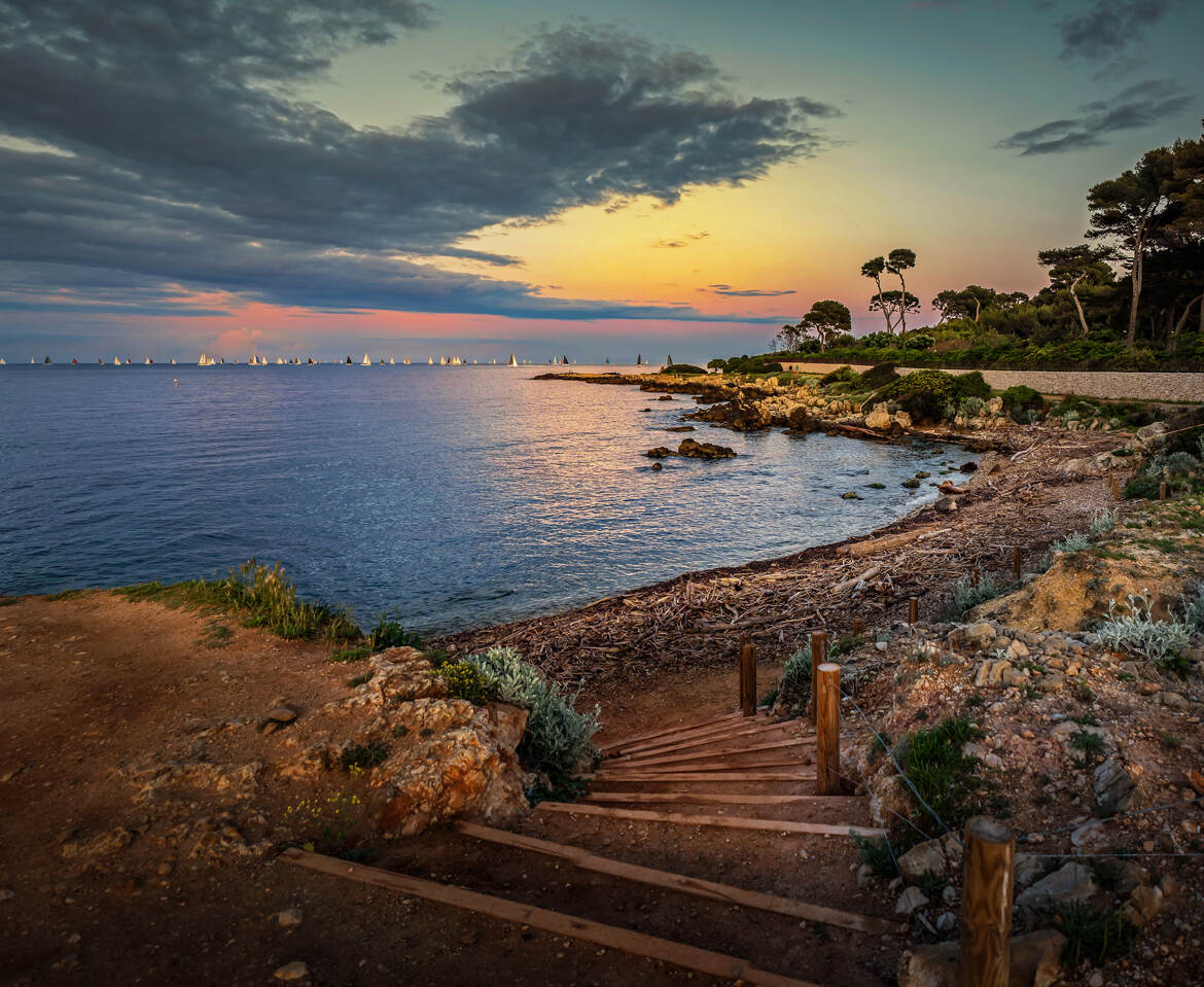 La Croisière Bleue ....