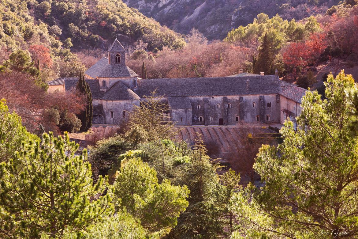 Abbaye de Sénanque