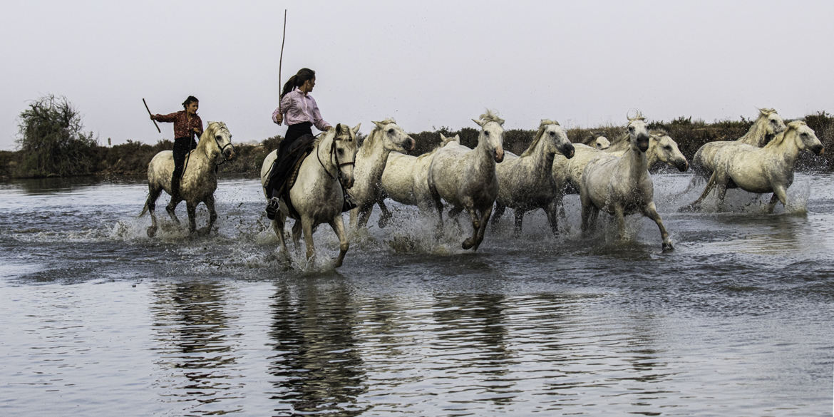 Galop de l'aube