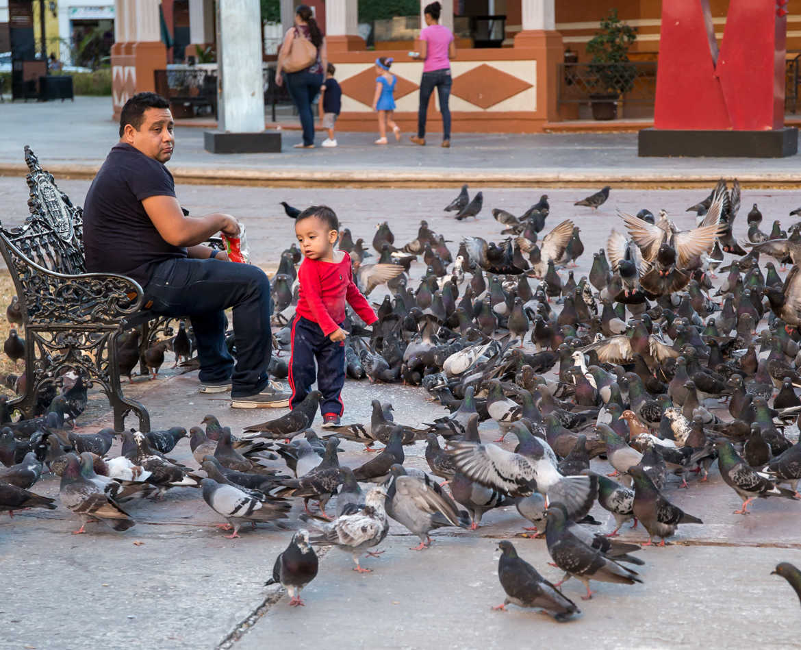 L'enfant aux oiseaux