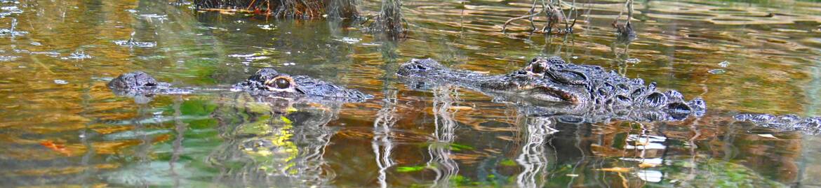 Marque page dangereux